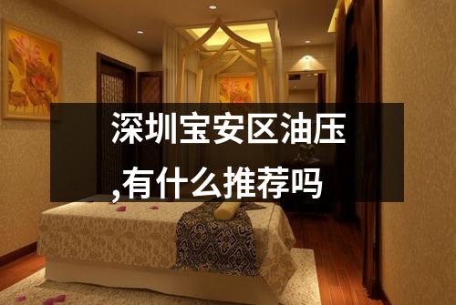 深圳宝安区油压,有什么推荐吗